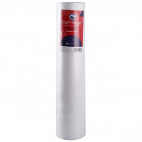 Картридж поліпропіленовий Bio+ systems PP-20L (10 мкм) BigBlue 20″ (000020561)