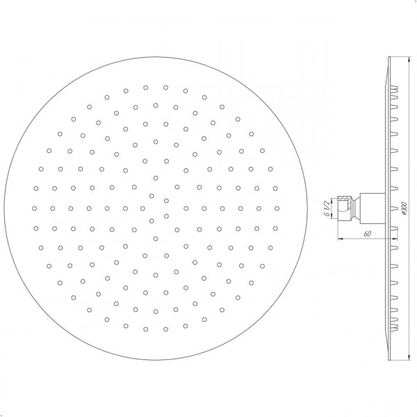 Душевая лейка Globus Lux STS-0300 (000013412)